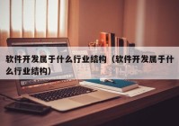 软件开发属于什么行业结构（软件开发属于什么行业结构）