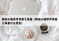 微信小程序开发者工具是（微信小程序开发者工具是什么意思）