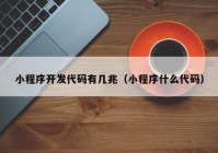 小程序开发代码有几兆（小程序什么代码）