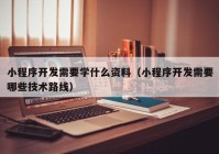 小程序开发需要学什么资料（小程序开发需要哪些技术路线）